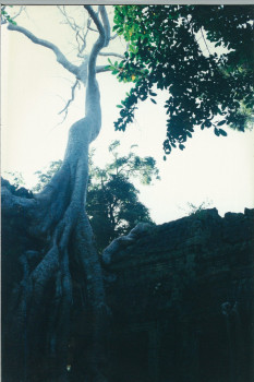 Cambodia-SiemReap-1995_013