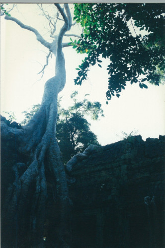 Cambodia-SiemReap-1995_013