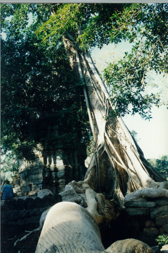 Cambodia-SiemReap-1995_014