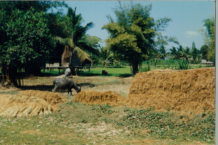 Cambodia-SiemReap-1995_030