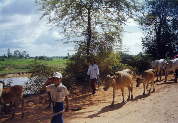 cambodia1999_046
