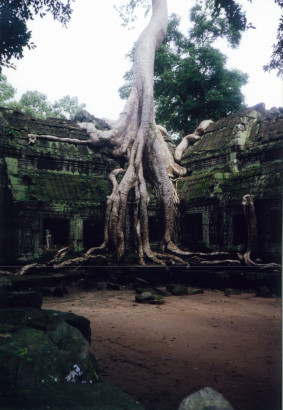 cambodia1999_047