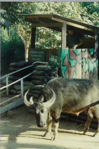 laos1995_011