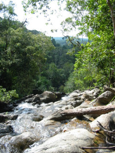 thailand-kopangan-2003_017