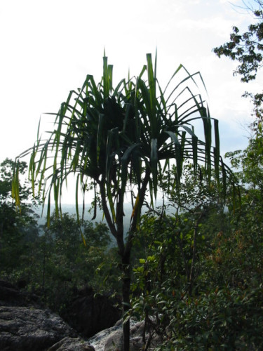 thailand-kopangan-2003_020