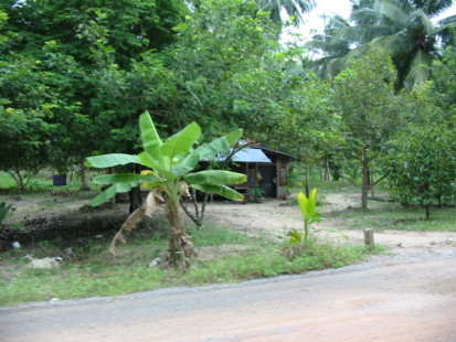 thailand-kopangan-2003_046