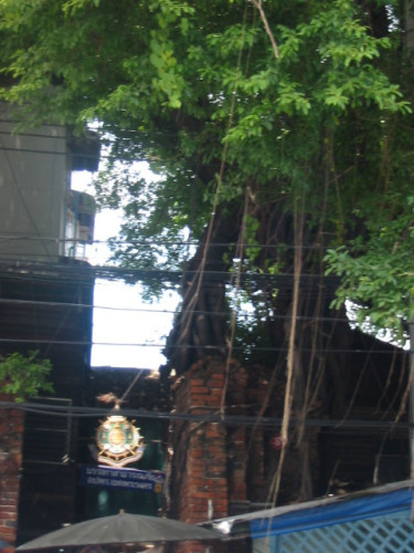 thailand-kopangan-2003_125