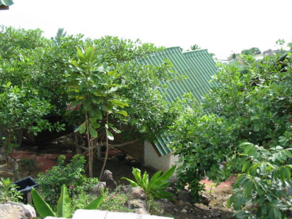 thailand-tantawan-2003_039