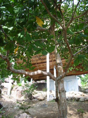 thailand-tantawan-2003_041