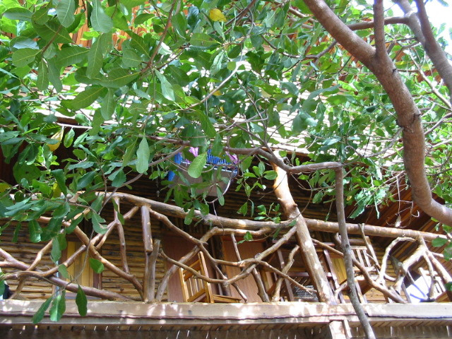 thailand-tantawan-2003_043