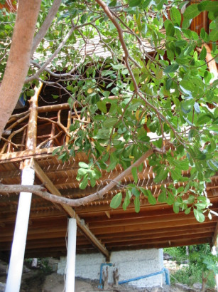 thailand-tantawan-2003_044