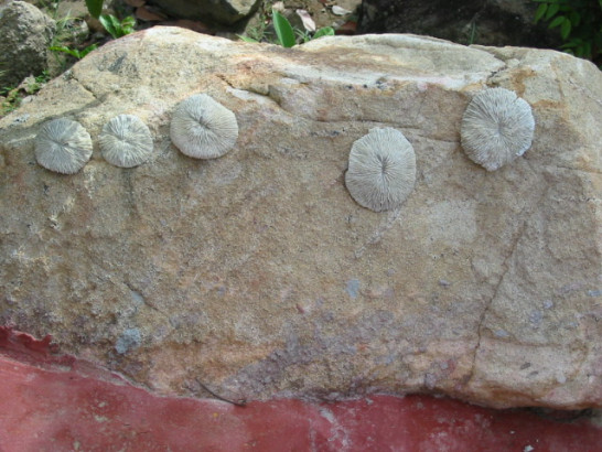 thailand-tantawan-2003_045