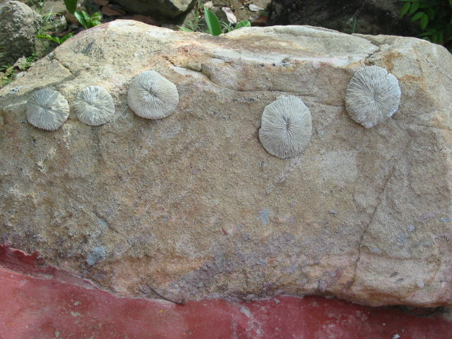 thailand-tantawan-2003_045