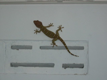 thailand_chaloklam_2003_001