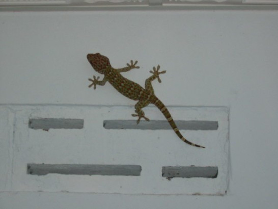 thailand_chaloklam_2003_001