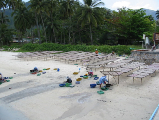 thailand_chaloklam_2003_091