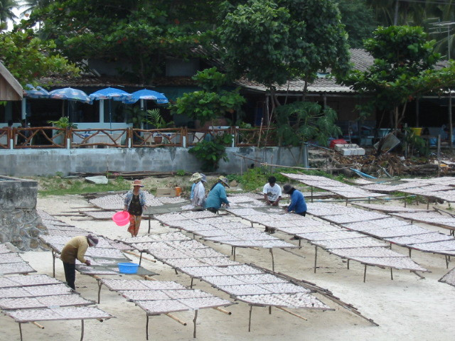 thailand_chaloklam_2003_092